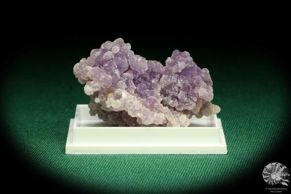 Traubenchalcedon (20645) eine Kleinstufe aus Indonesien | Mineralien | Kleinstufen