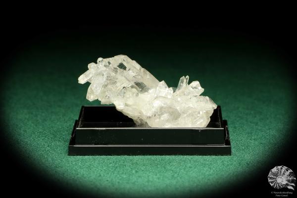 Bergkristall XX (20647) eine Kleinstufe aus Schweiz | Mineralien | Kleinstufen