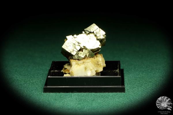 Pyrite XX - Germany - (20649)