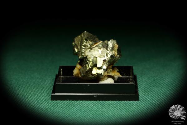 Pyrite XX (20649) a thumbnail from Germany | Minerals | Thumbnails