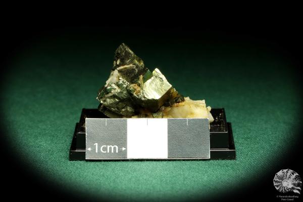 Pyrite XX (20649) a thumbnail from Germany | Minerals | Thumbnails