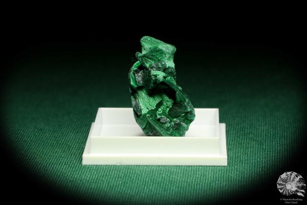 Malachite XX (20658) a thumbnail from DR Congo | Minerals | Thumbnails