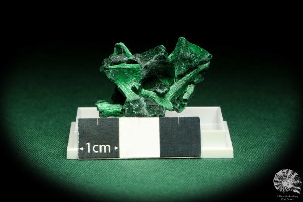 Malachite XX (20658) a thumbnail from DR Congo | Minerals | Thumbnails