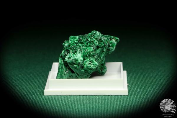 Malachite XX - (20663)