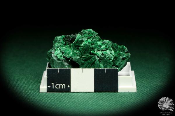 Malachite XX (20663) a thumbnail from see pictures | Minerals | Thumbnails