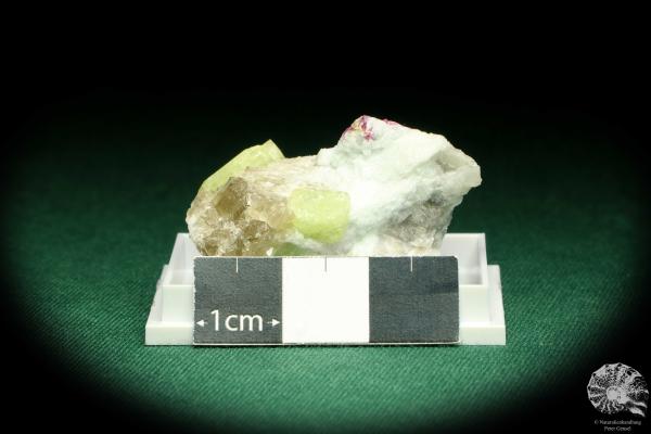 Rhodizit XX (20665) eine Kleinstufe aus Madagaskar | Mineralien | Kleinstufen