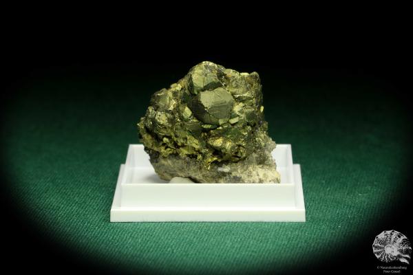 Chalcopyrite - Peru - (20675)