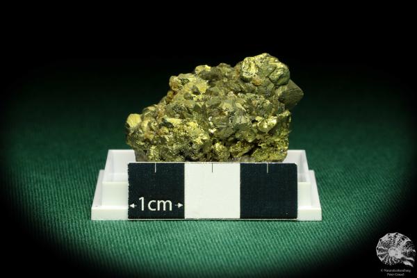 Chalcopyrite (20675) a thumbnail from Peru | Minerals | Thumbnails