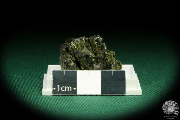 Epidot XX (20676) eine Kleinstufe aus Frankreich | Mineralien | Kleinstufen