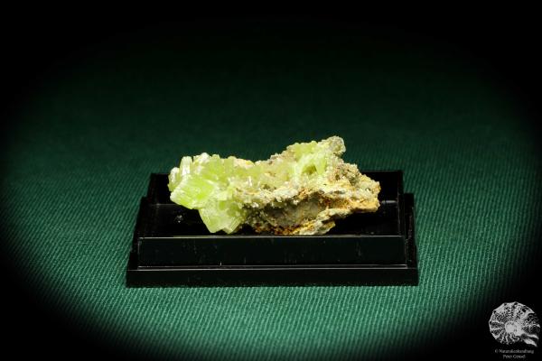 Pyromorphite XX (20686) a thumbnail from Greece | Minerals | Thumbnails