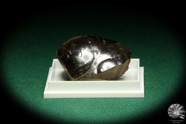 Hematite (20690) a thumbnail from Morocco | Minerals | Thumbnails