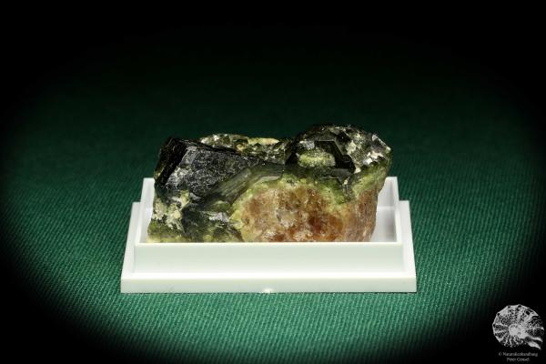 Andradite XX (20691) a thumbnail from USA | Minerals | Thumbnails