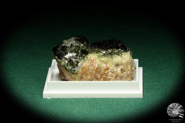 Andradite XX (20691) a thumbnail from USA | Minerals | Thumbnails