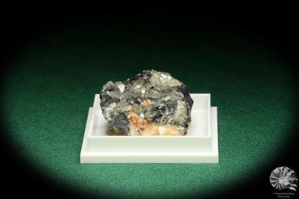 Cerussite XX & Barite XX & Galena - Morocco - (20694)