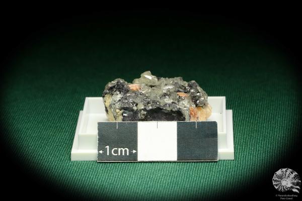 Cerussit XX & Baryt XX & Galenit (20694) eine Kleinstufe aus Marokko | Mineralien | Kleinstufen