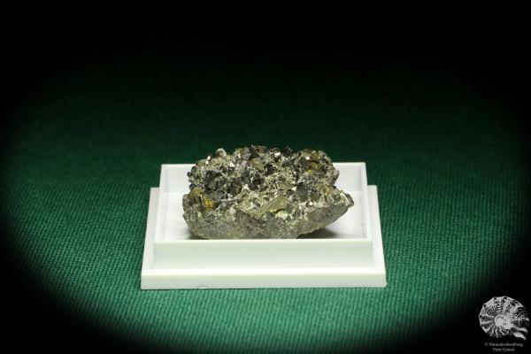 Arsenopyrit XX (20700) eine Kleinstufe aus Peru | Mineralien | Kleinstufen