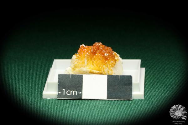 Vanadinite XX (20710) a thumbnail from Morocco | Minerals | Thumbnails