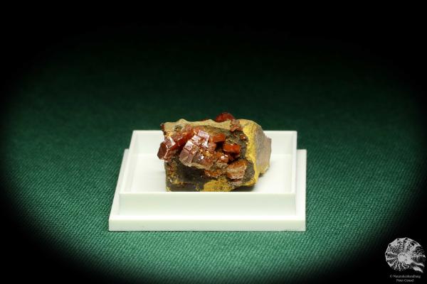 Vanadinite XX on Baryte (20721) a thumbnail from Morocco | Minerals | Thumbnails