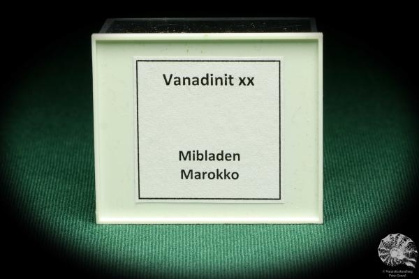 Vanadinit XX auf Baryt (20721) eine Kleinstufe aus Marokko | Mineralien | Kleinstufen