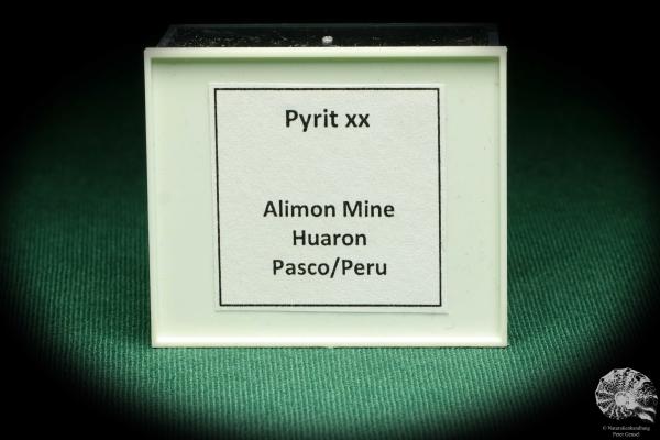 Pyrit XX (20722) eine Kleinstufe aus Peru | Mineralien | Kleinstufen