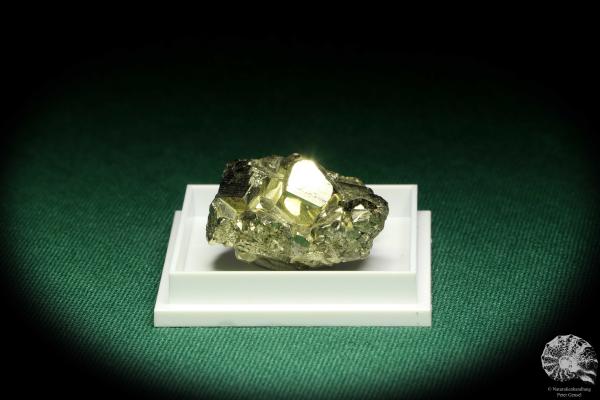 Pyrit XX (20723) eine Kleinstufe aus Peru | Mineralien | Kleinstufen