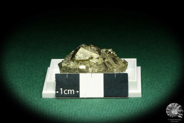 Pyrit XX (20723) eine Kleinstufe aus Peru | Mineralien | Kleinstufen