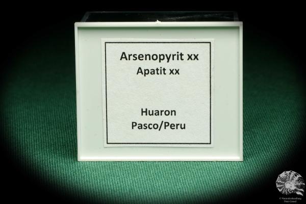 Arsenopyrit XX & Apatit XX (20724) eine Kleinstufe aus Peru | Mineralien | Kleinstufen