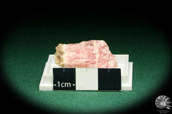 Rhodochrosit (20731) eine Kleinstufe aus Deutschland | Mineralien | Kleinstufen