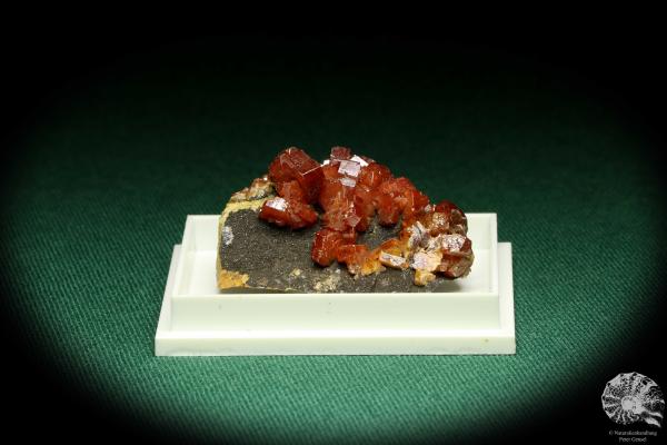 Vanadinite XX (20733) a thumbnail from Morocco | Minerals | Thumbnails