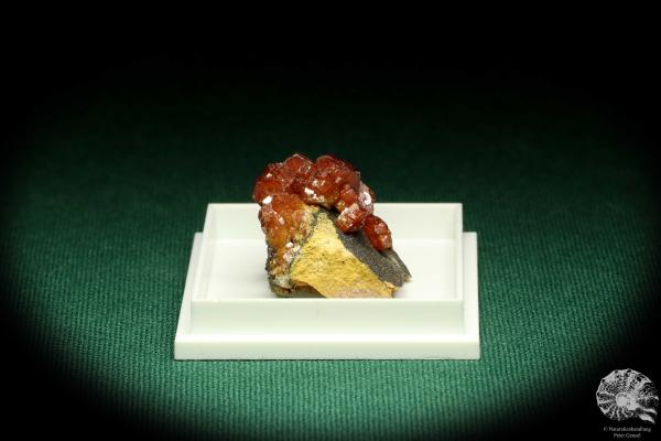 Vanadinite XX (20733) a thumbnail from Morocco | Minerals | Thumbnails