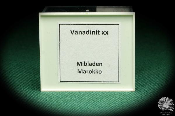 Vanadinit XX (20733) eine Kleinstufe aus Marokko | Mineralien | Kleinstufen