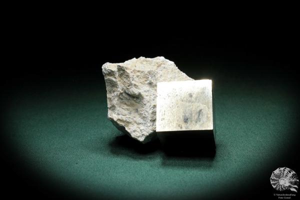 Pyrite XX in Marl Matrix (3250) a mineral from Spain | Minerals | Global