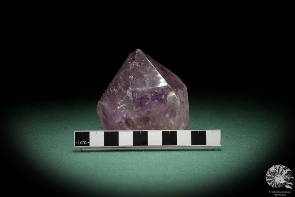 Amethyste XX (3332) a mineral from South America | Minerals | Global