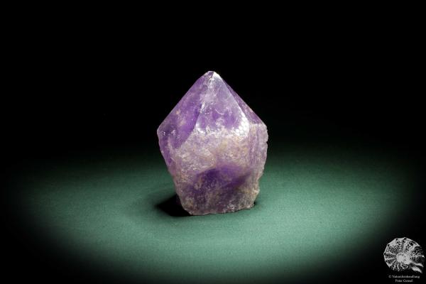 Amethyste XX (3333) a mineral from South America | Minerals | Global