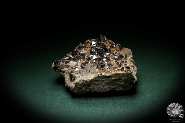 Magnetite XX (4914) a mineral from Bolivia | Minerals | Global