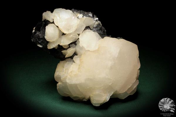 Calcite XX & Sphalerite XX (5458) a mineral from Russia | Minerals | Global