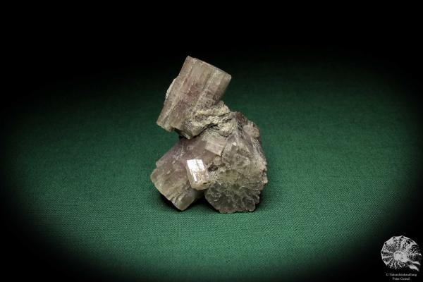 Aragonit XX (5512) ein Mineral aus Spanien | Mineralien | Weltweit