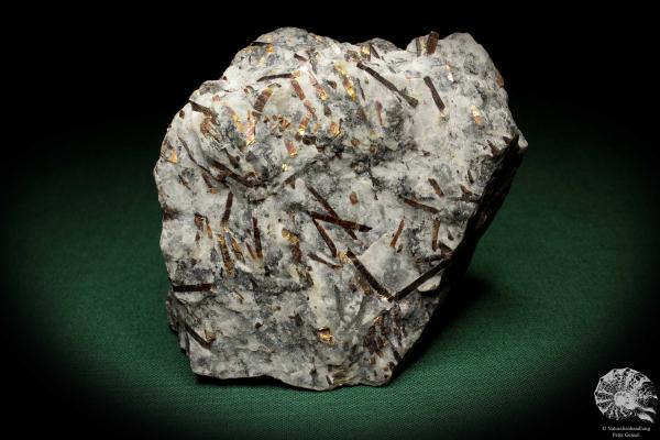 Astrophyllit XX (5515) ein Mineral aus Russland | Mineralien | Weltweit