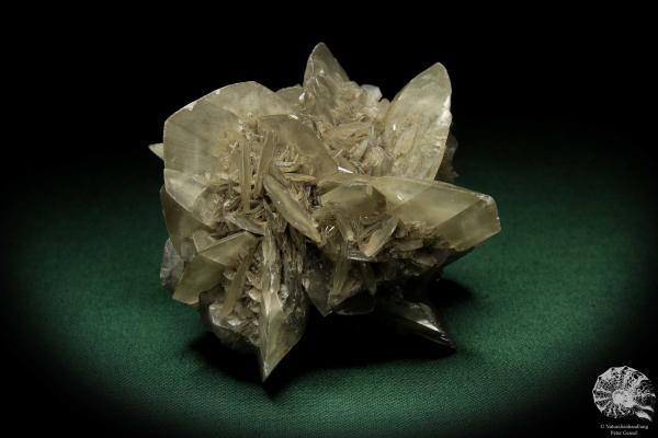 Gypsum XX (5527) a mineral from Germany | Minerals | From Germany