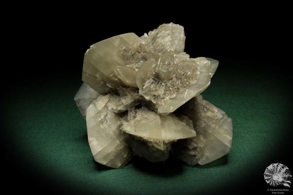 Gypsum XX (5529) a mineral from Germany | Minerals | From Germany