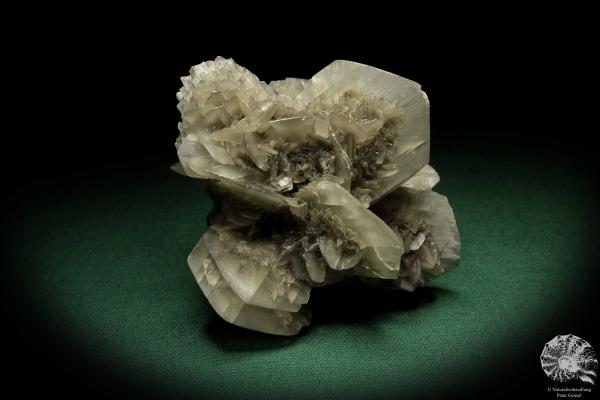 Gypsum XX (5529) a mineral from Germany | Minerals | From Germany