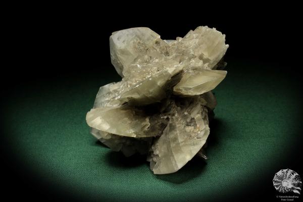 Gypsum XX (5529) a mineral from Germany | Minerals | From Germany