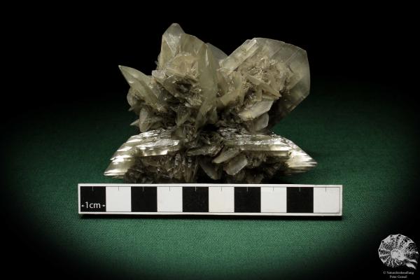 Gypsum XX (5529) a mineral from Germany | Minerals | From Germany