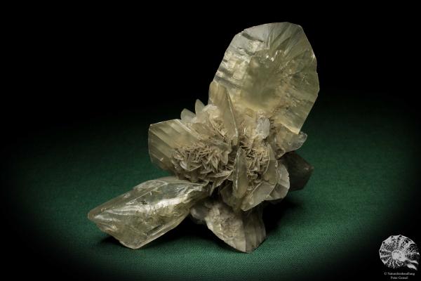 Gypsum XX (5530) a mineral from Germany | Minerals | From Germany