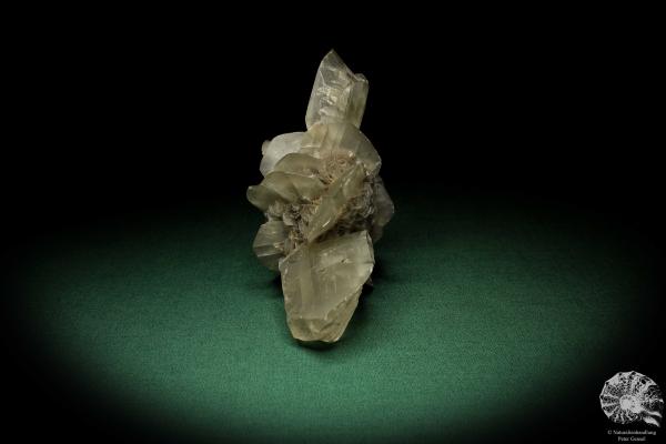 Gypsum XX (5530) a mineral from Germany | Minerals | From Germany