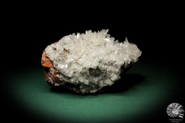 Hemimorphite XX on Limonite (5582) a mineral from Mexico | Minerals | Global