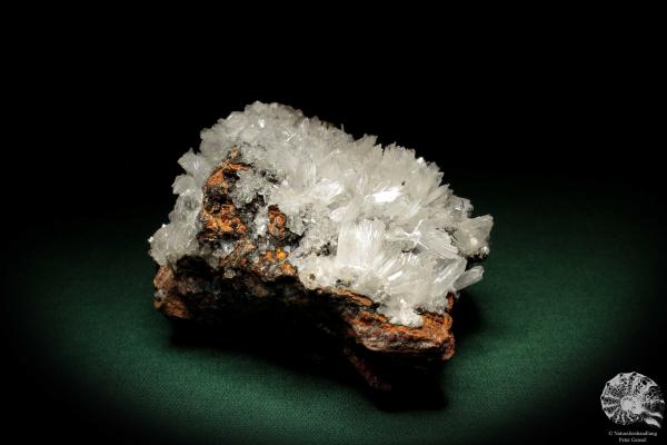 Hemimorphit XX auf Limonit (5582) ein Mineral aus Mexiko | Mineralien | Weltweit