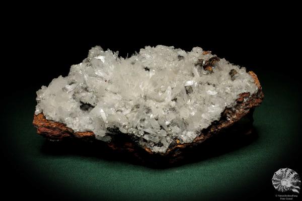 Hemimorphite XX on Limonite (5582) a mineral from Mexico | Minerals | Global