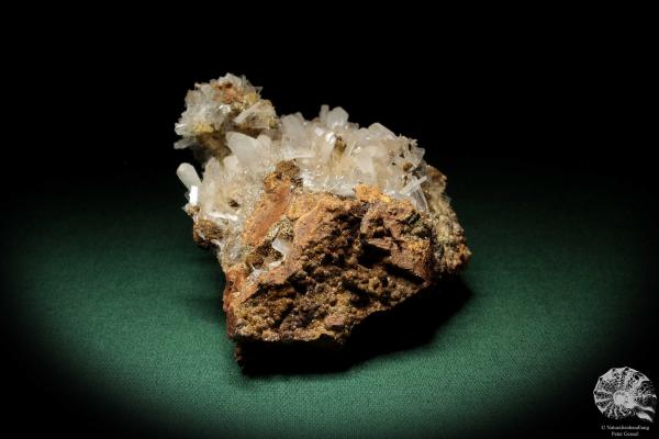 Hemimorphite XX on Limonite (5583) a mineral from Mexico | Minerals | Global