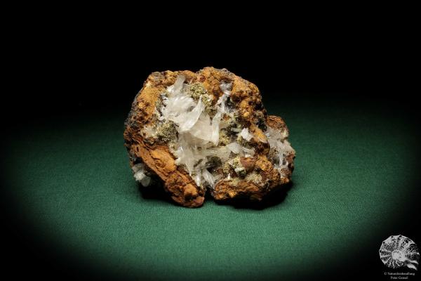 Hemimorphite XX on Limonite (5587) a mineral from Mexico | Minerals | Global